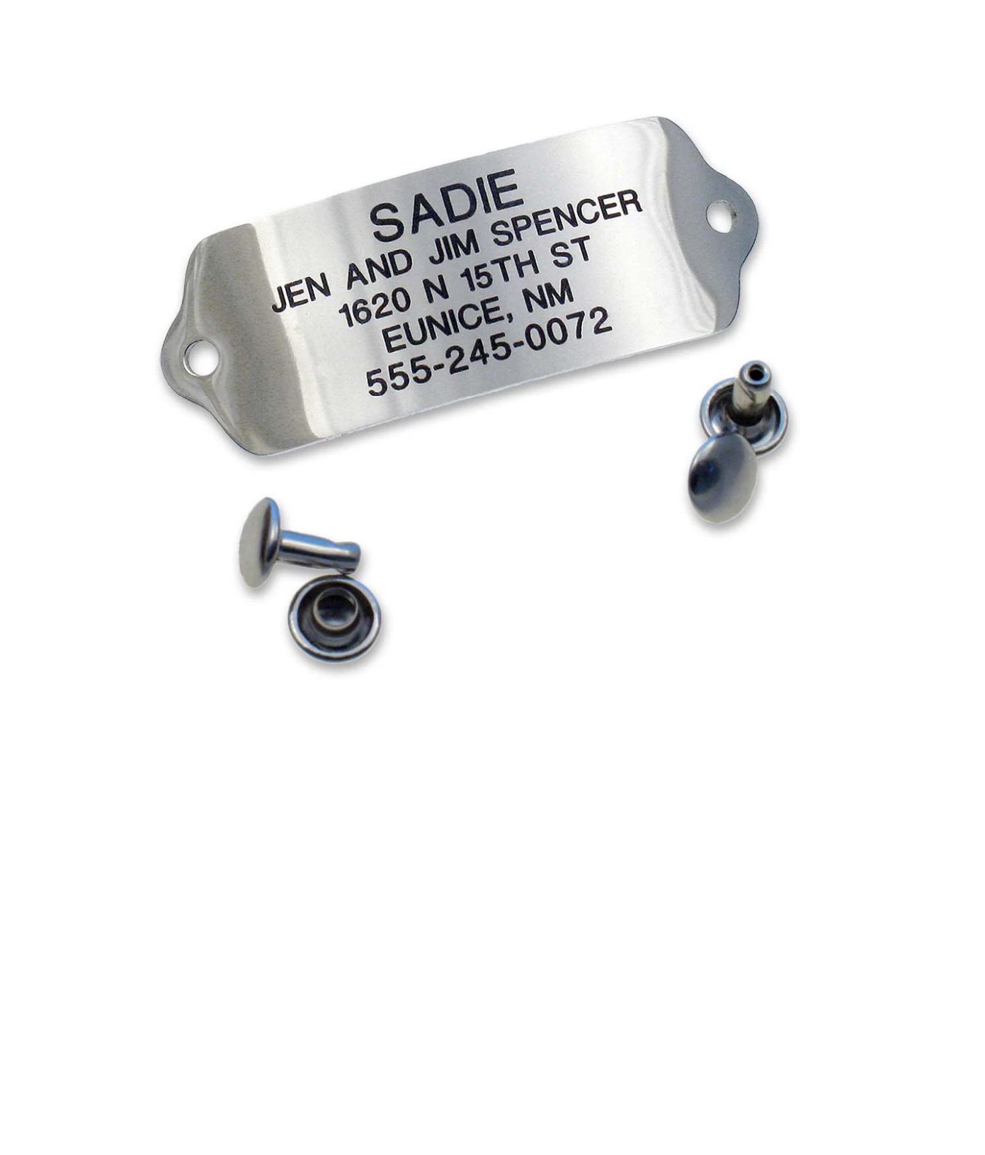 Stainless rivet-on tag with personalized engraving, and matching rivets.