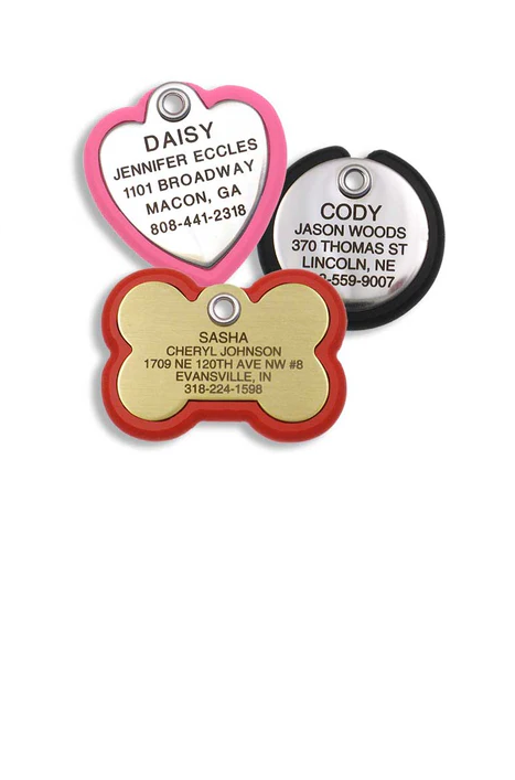 Three Plastic Frame Tags: A stainless heart with a neon pink frame, a stainless round with a black frame, and a brass bone with a red frame, all custom engraved on the front.