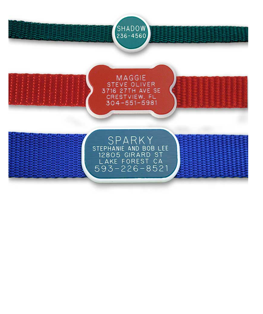A small round green plastic collar tag laying flat on a green collar; a red bone shaped plastic collar tag laying flat on a red collar, and a blue rectangle plastic collar tag laying flat on a blue collar; all custom engraved.