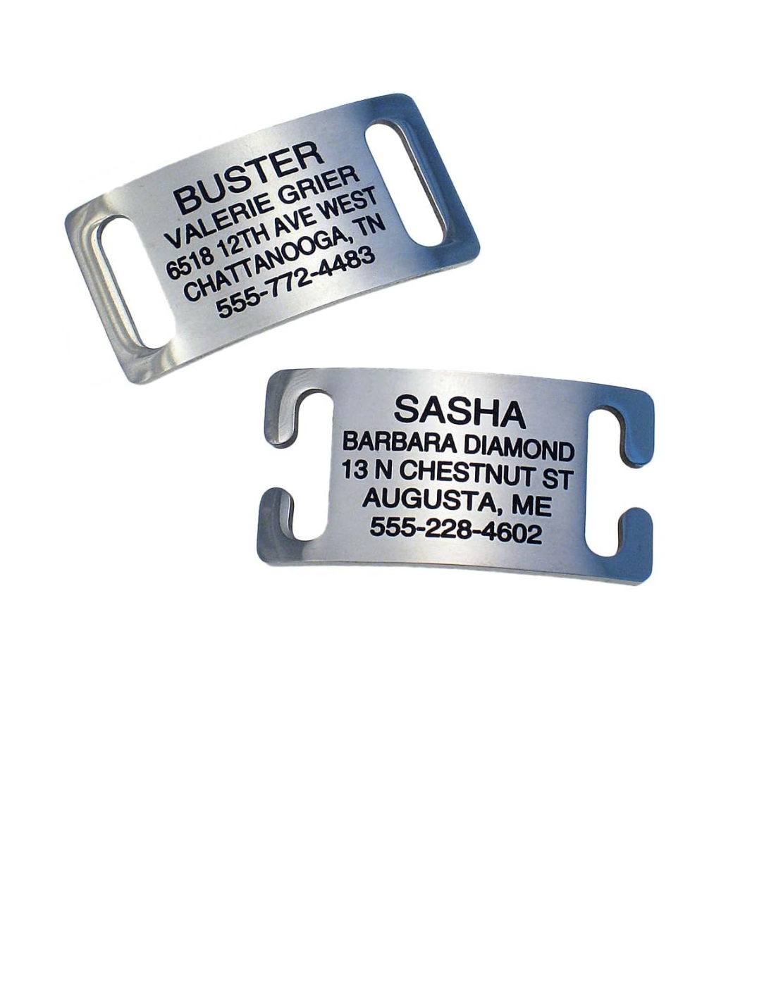 2 Stainless Slide-On Dog & Cat Tags, 1 with open ends and 1 with closed ends.