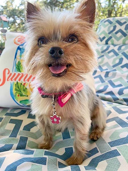 January 2020 Newsletter