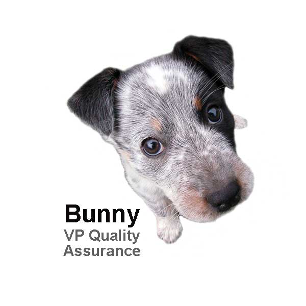 Why Our Pet Tags Are Better