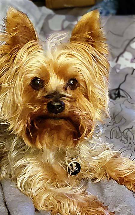 February 2019 Newsletter