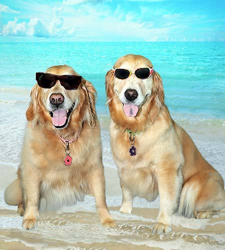 October 2018 Newsletter