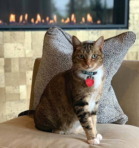 November 2018 Newsletter