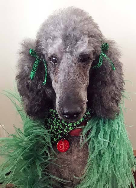 March 2018 Newsletter