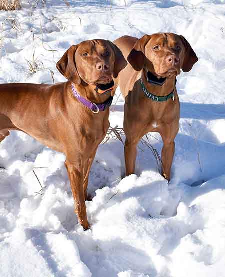 April 2018 Newsletter