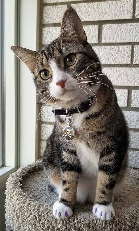 July 2018 Newsletter