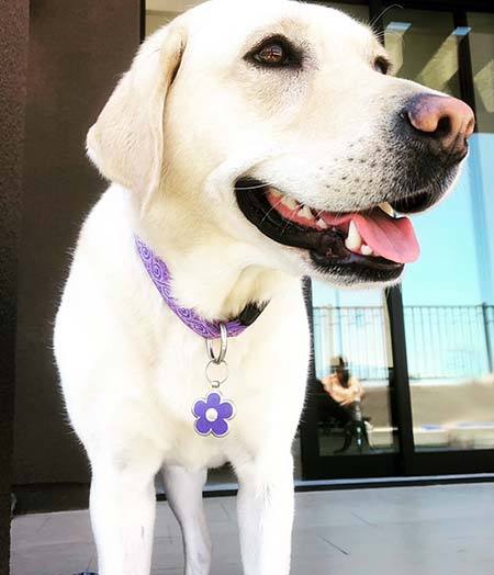 August 2018 Newsletter