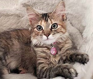 September 2018 Newsletter