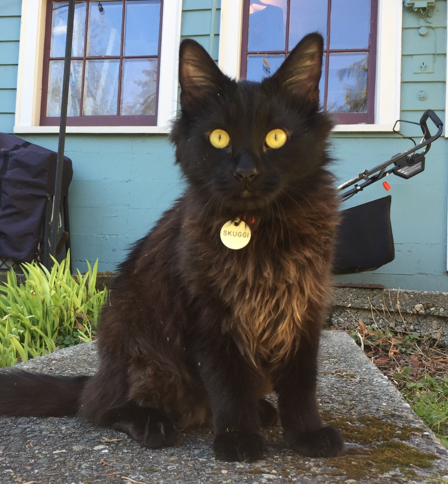 March 2019 Newsletter