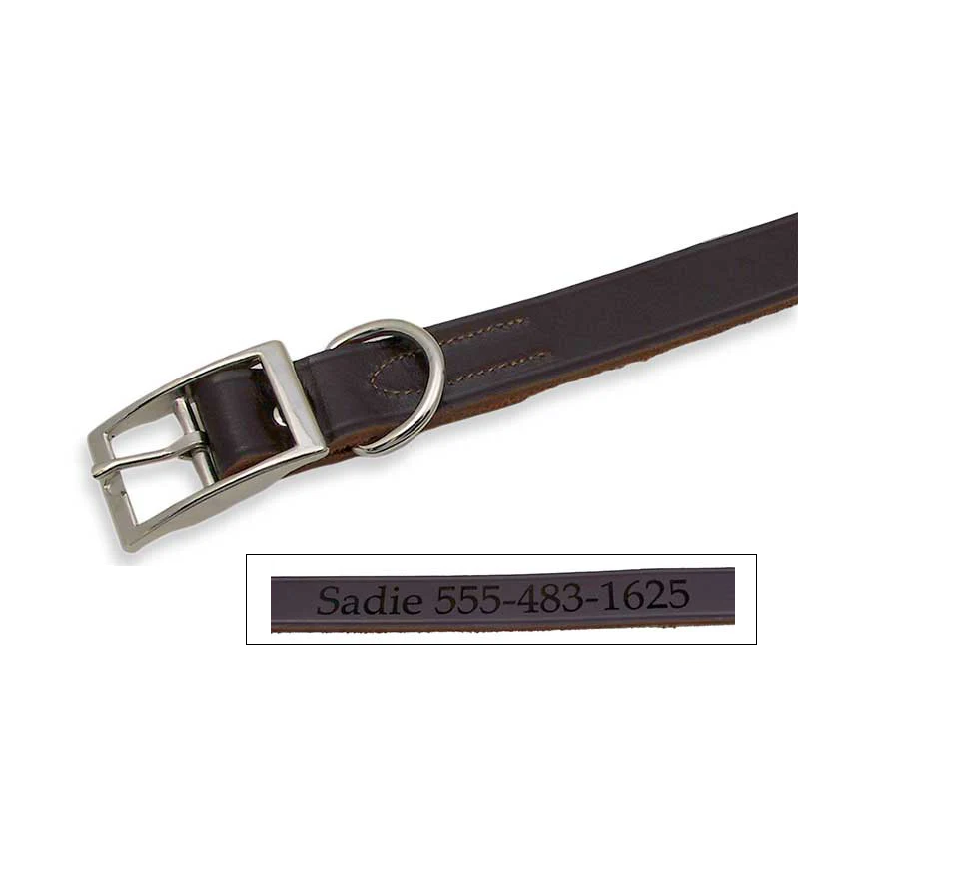 A brown leather collar with a silver metal buckle and d-ring, engraved with the name "Sadie" and a phone number.