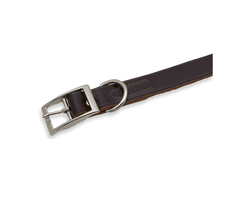 A brown leather collar with a metal buckle and d-ring.