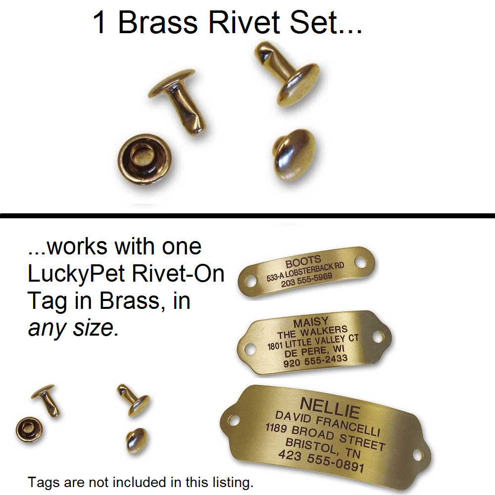 Image explaining that 1 Brass Rivet Set works with one LuckyPet Rivet-On Tag in Brass in any size.