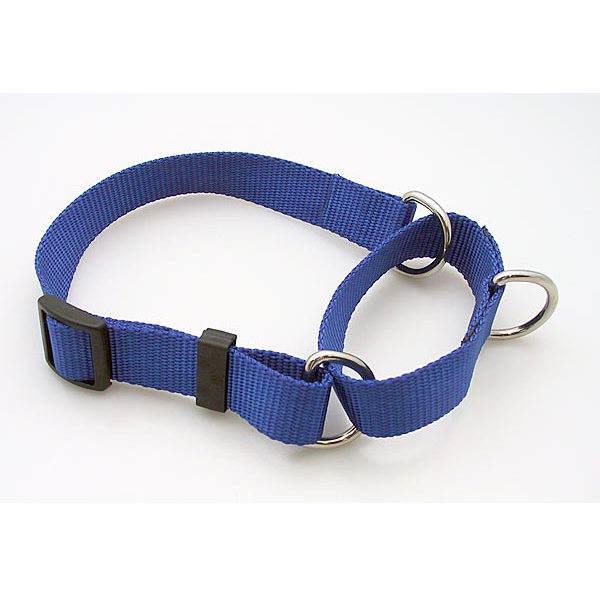 Martingale Collar,  - Lucky Pet