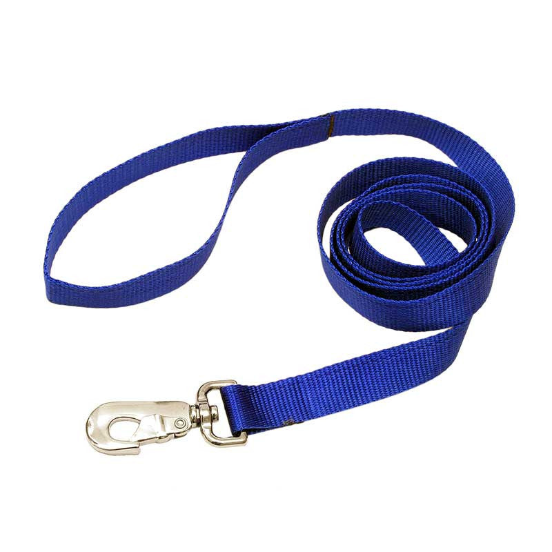 3/8 inch by 6-foot length blue Nylon Leash,  - Lucky Pet