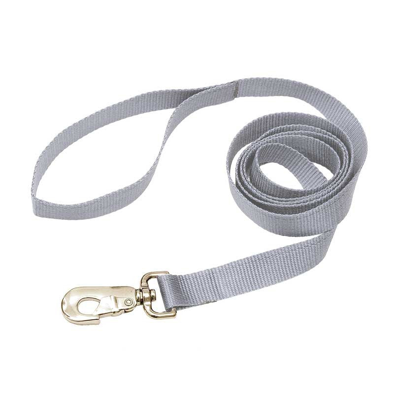 gray nylon leash