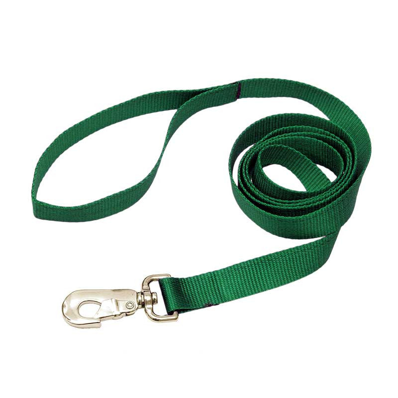 green nylon leash