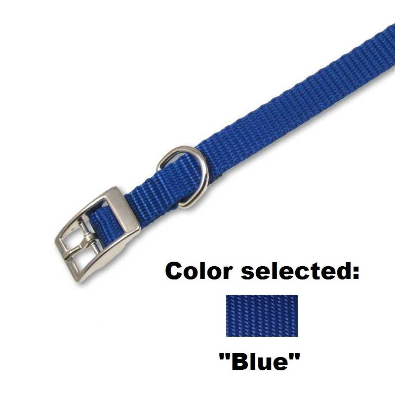 Traditional Collar - 5/8" Width,  - Lucky Pet