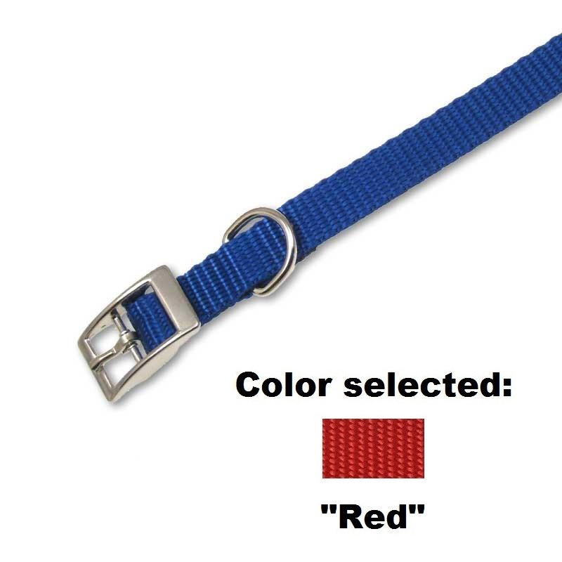 Traditional Collar - 5/8" Width,  - Lucky Pet