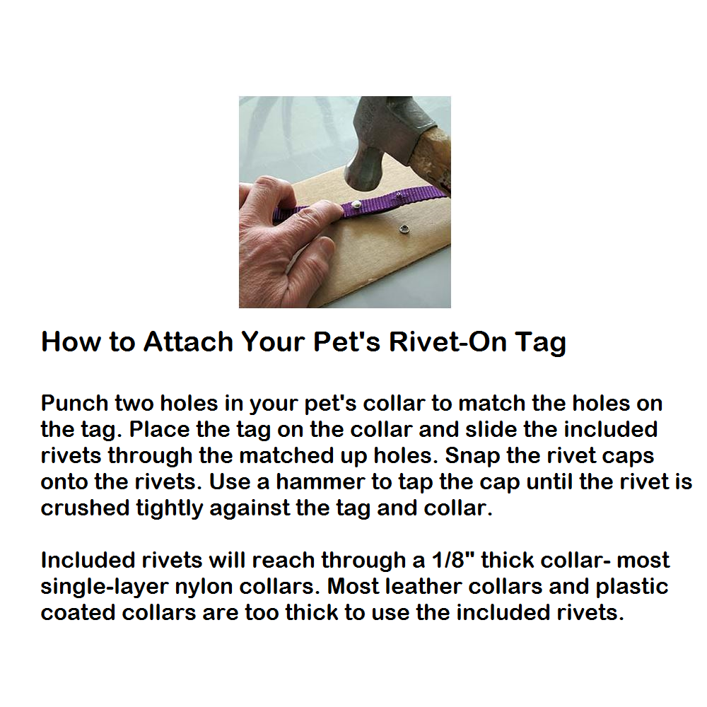 Instructions to attach your pet's rivet-on tag
