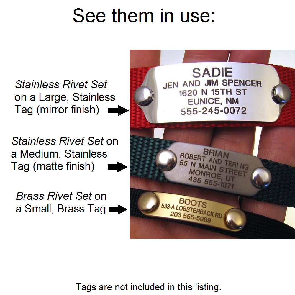 A mirror finish stainless rivet-on tag with stainless rivets, a matte finish stainless rivet-on tag with stainless rivets, and a brass rivet-on with brass rivets.