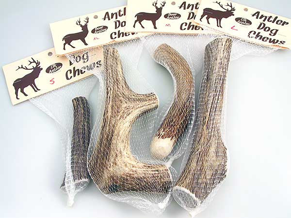 Good Lovin' Naturally Shed Whole Deer Antler Dog Chew