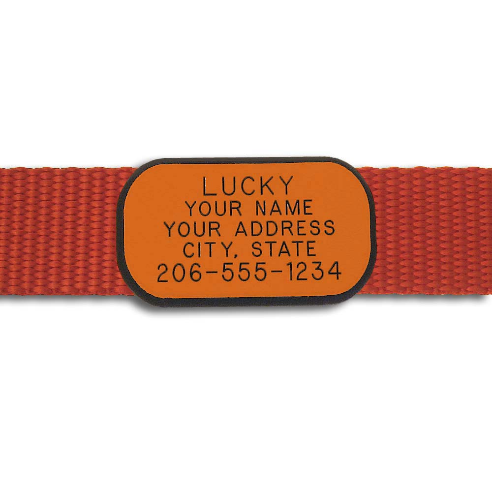 Plastic Collar Tag - Rectangle,  - Lucky Pet